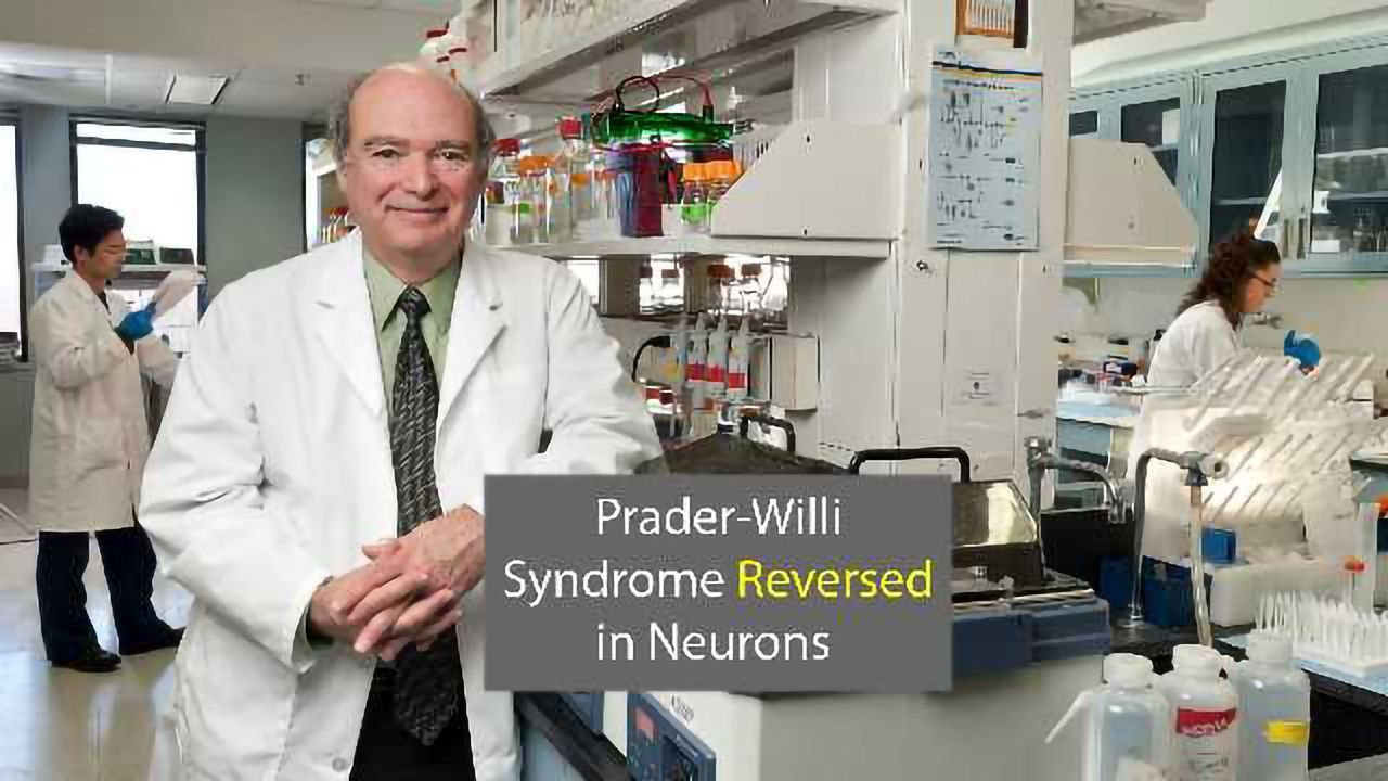 Gene Awakening Reverses Prader-Willi Syndrome in Neurons