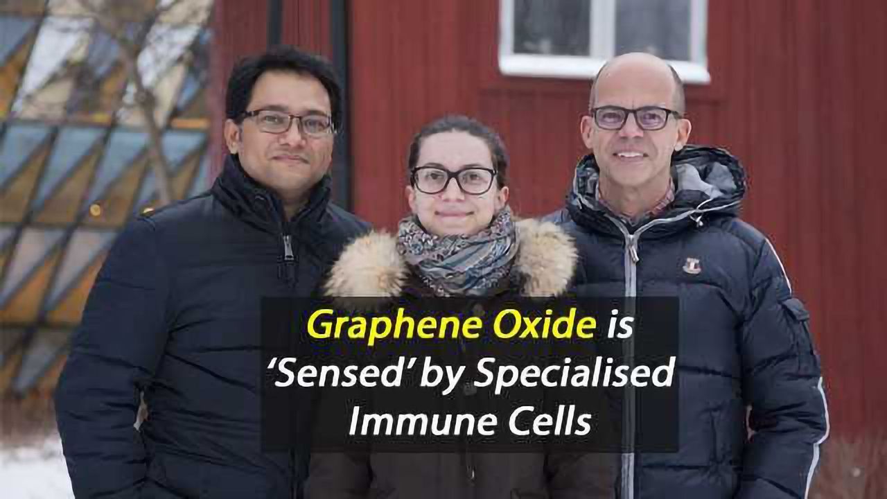 Popular Medical Material Treated Like a Pathogen By Our Immune System
