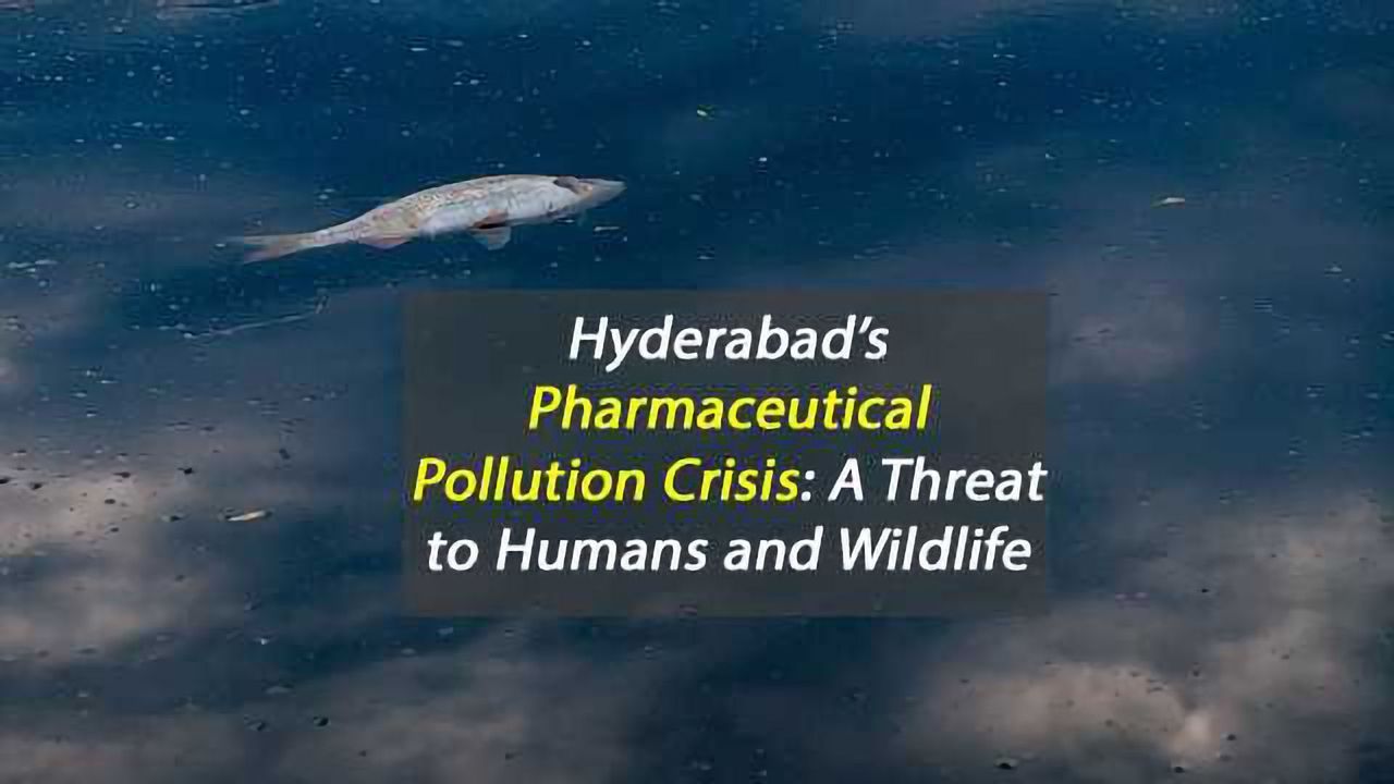 Pharmaceutical Manufacturing Pollution Threatens Hyderabad