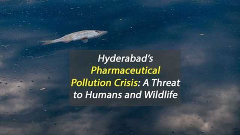Pharmaceutical Manufacturing Pollution Threatens Hyderabad