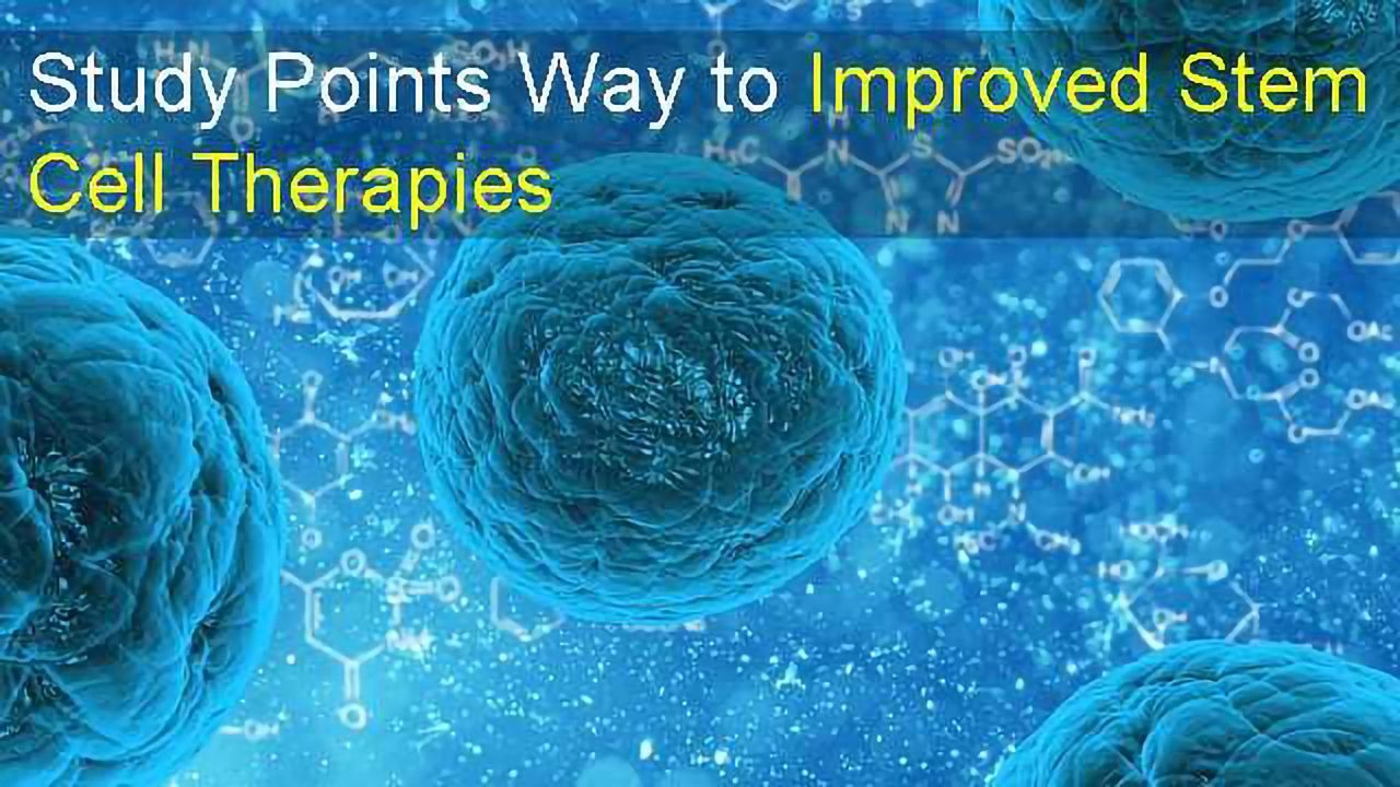 Study Points Way to Improved Stem Cell Therapies