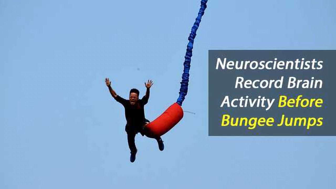 Taking Neuroscience Over The Edge: Exploring the brain's readiness potential prior to a bungee jump