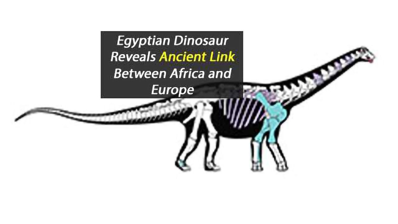 Dinosaur Discovery Helps Scientist Fill in the Missing Links