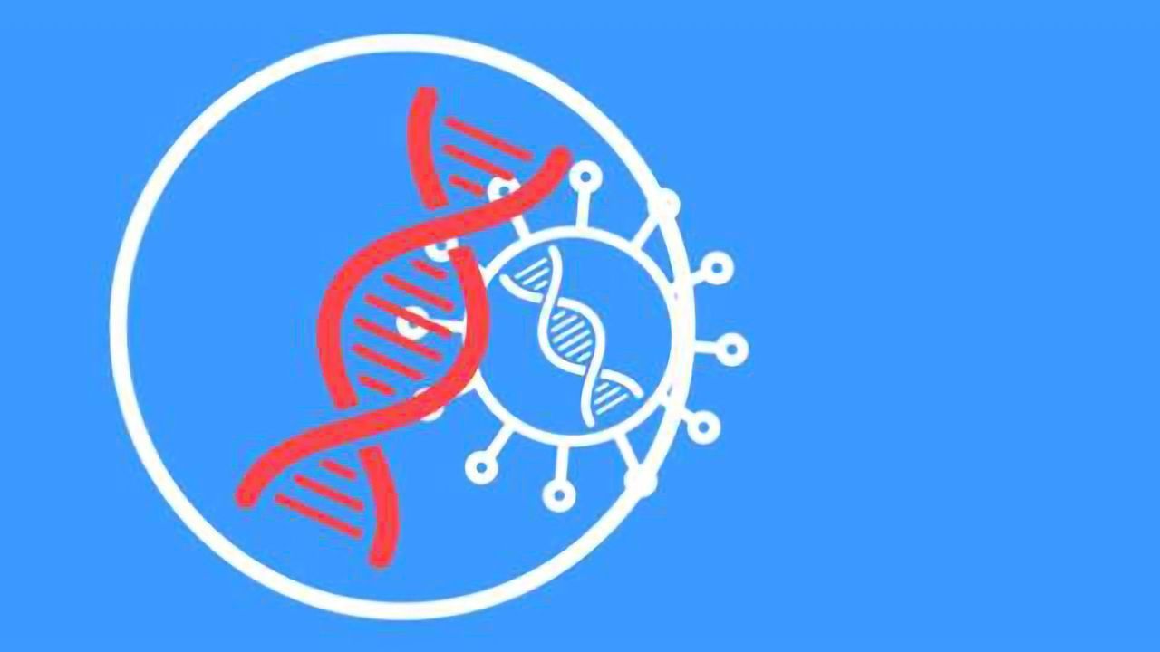 Gene Therapy Inside Out
