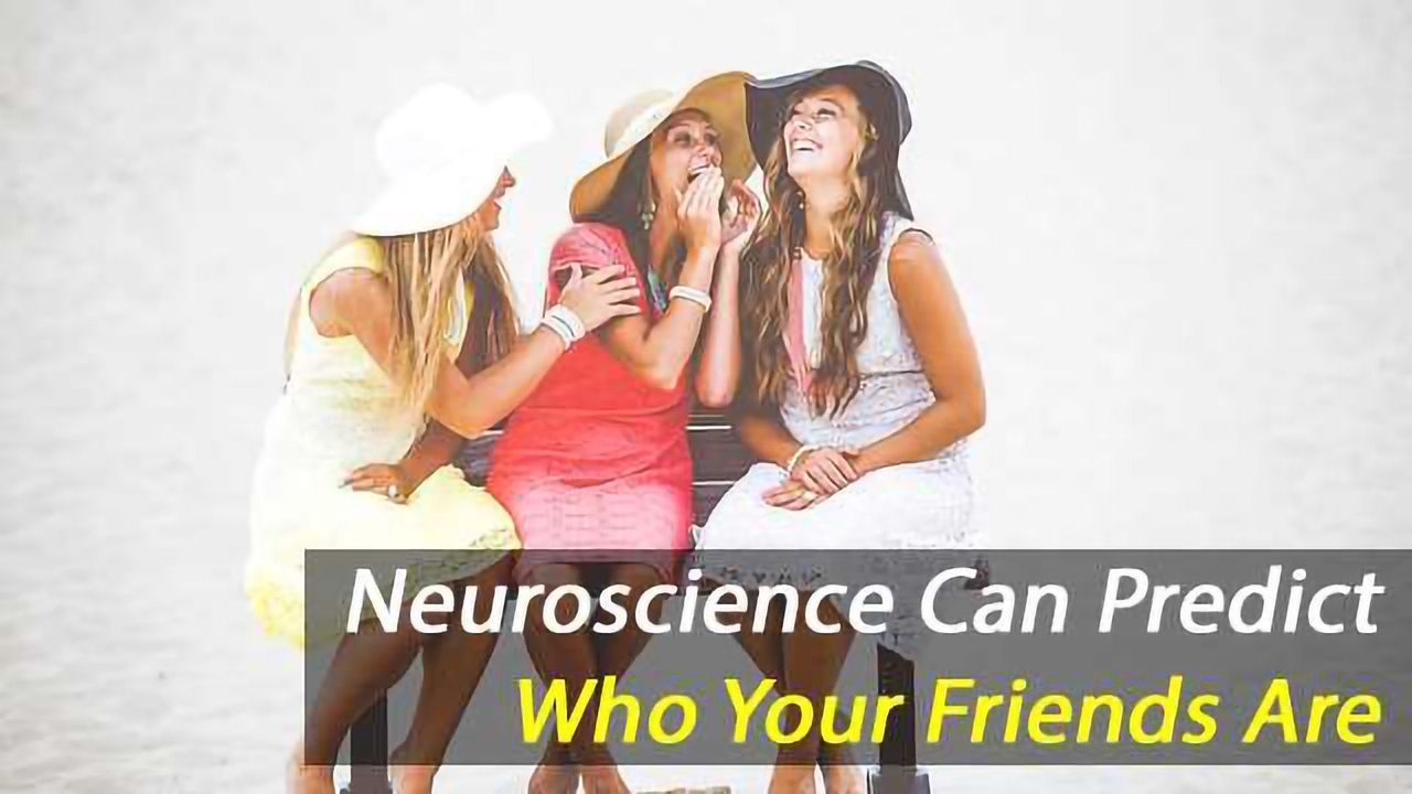 Neuroscience Can Tell You Who Your Friends Are