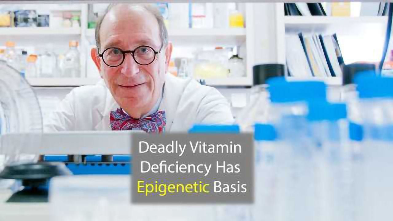 Deadly Vitamin B12 Deficiency is Caused by Epimutation