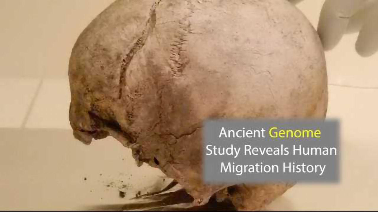 Genome Study Uncovers Origin of Farming in Europe