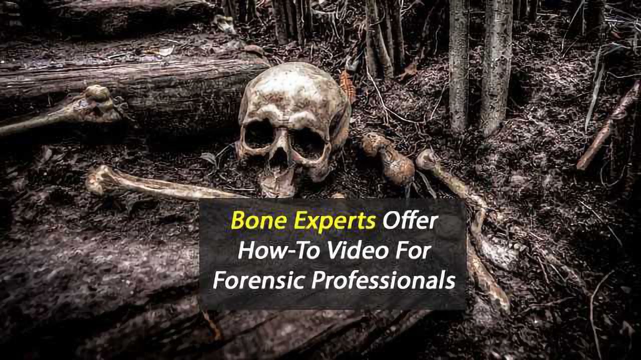 Bone Experts Offer How-To Video For Forensic Professionals