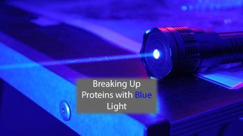 Optogenetic Technique Turns Off Proteins at the Flick of a (Light) Switch