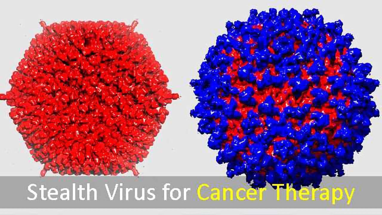 Camouflaged Adenovirus Rebuilt to Recognize and Infect Tumor Cells