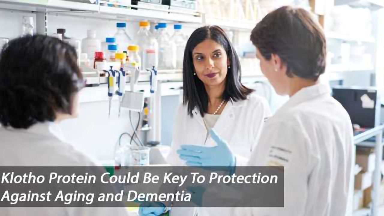 Could Klotho Protein Prevent Aging And Cognitive Decline in Dementia?