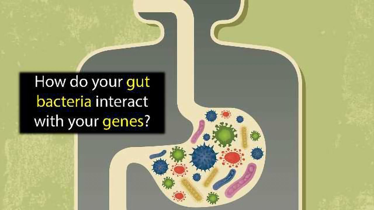The Germ and the Gene: Gut Bacteria Research Takes a Step Forward