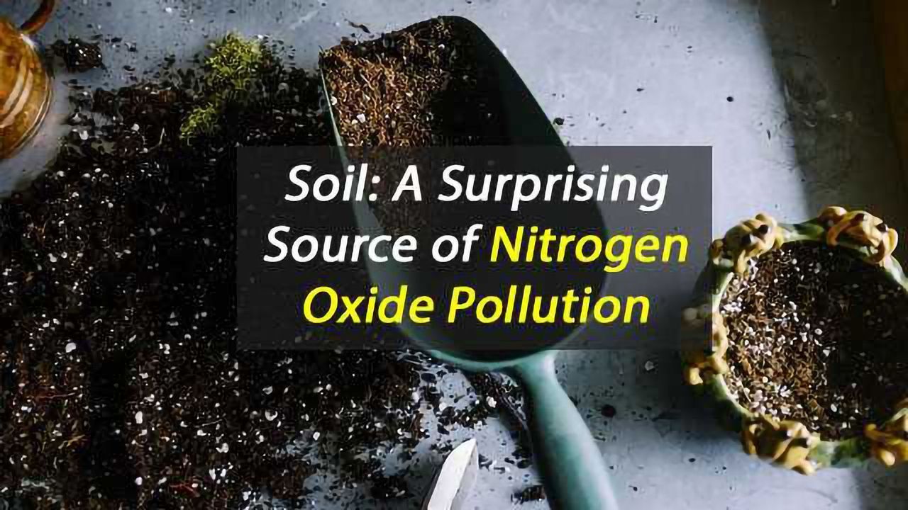 Soil: An Unlikely Source of Nitrogen Oxide Pollution