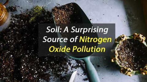 Soil: An Unlikely Source of Nitrogen Oxide Pollution