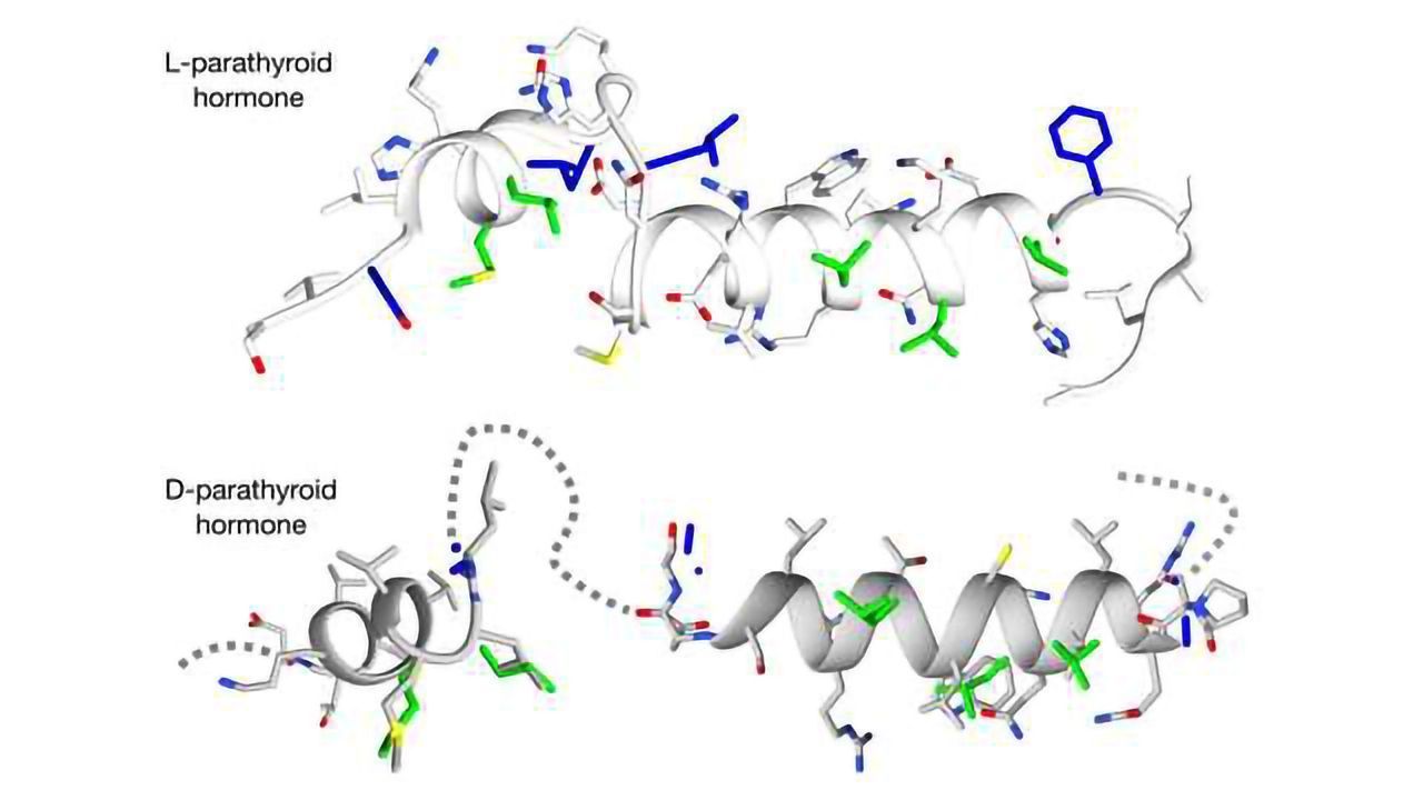 Mirror-Image Molecules Could Result in Better Medicines