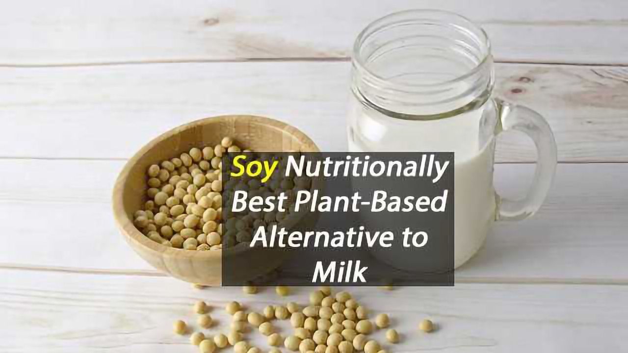 Nutritionally, Soy Milk is Best Plant-Based Milk