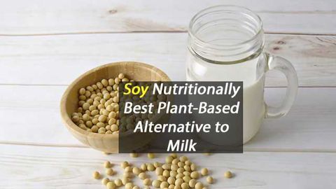 Nutritionally, Soy Milk is Best Plant-Based Milk