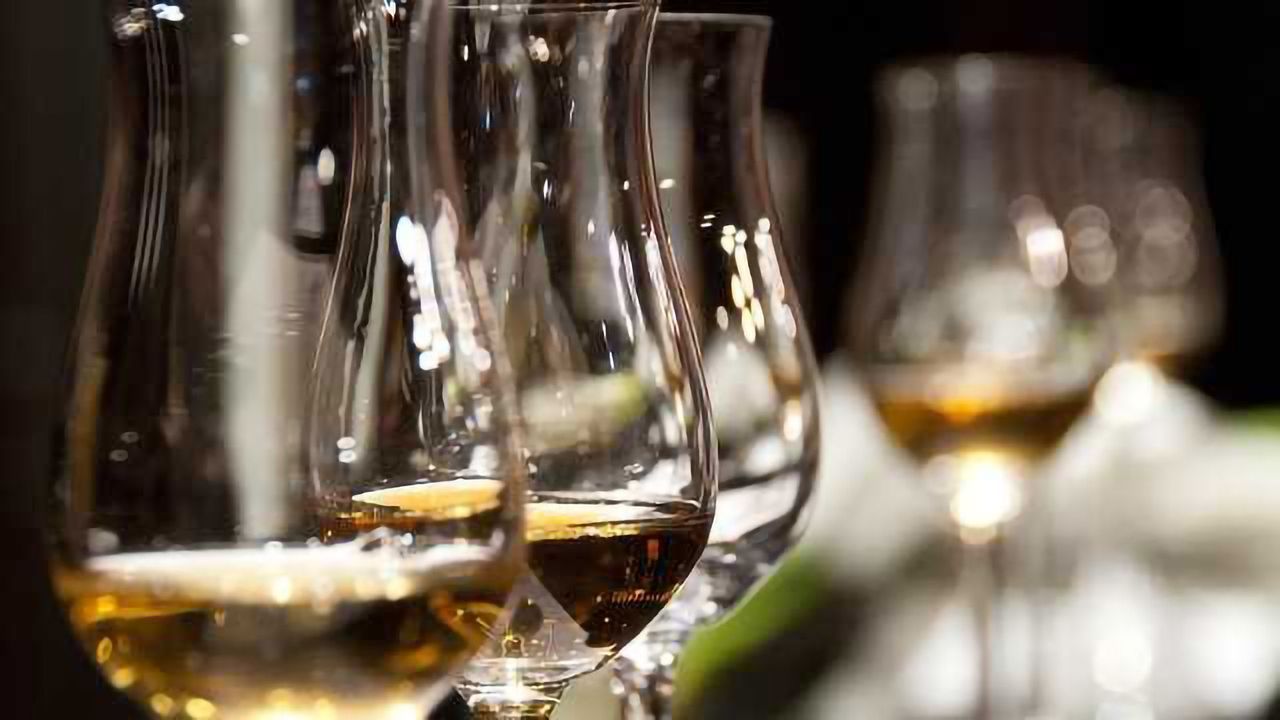Low Levels of Alcohol Good for the Brain, According to a New Study