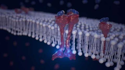 Old Drug May Have New Tricks for Fighting Cancer