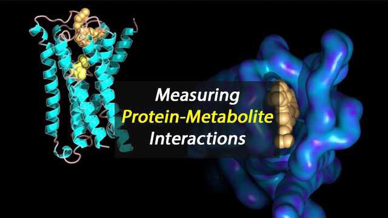 The New "Omics" - Measuring Molecular Interactions