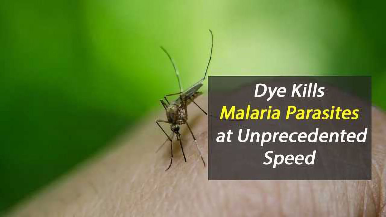 Blue Dye Is Safe, Effective and Rapid Antimalarial