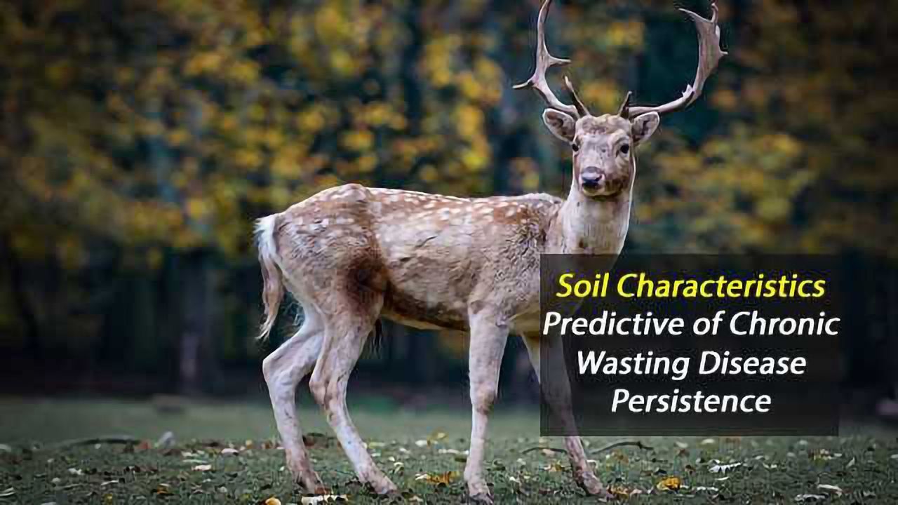 Soil Characteristics Predictive For Chronic Wasting Disease Persistence