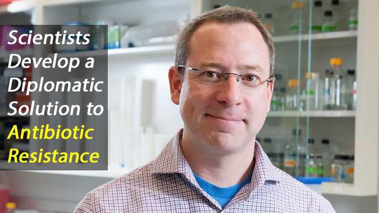 Destabilizing Bacterial Communication a Diplomatic Solution in the War on Antibiotic Resistance