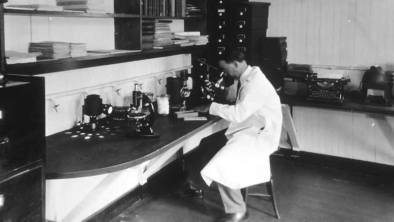 The Changing Role of Pathologists in the Age of Precision Medicine