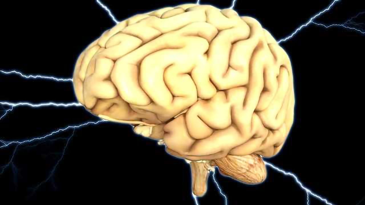 Magnetic Brain Stimulation Alters Negative Emotion Perception
