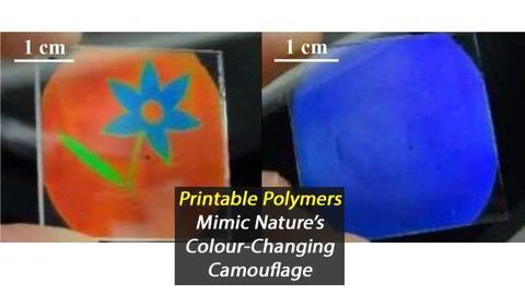 Printable Polymer That Mimics Nature's Colour Changing Abilities