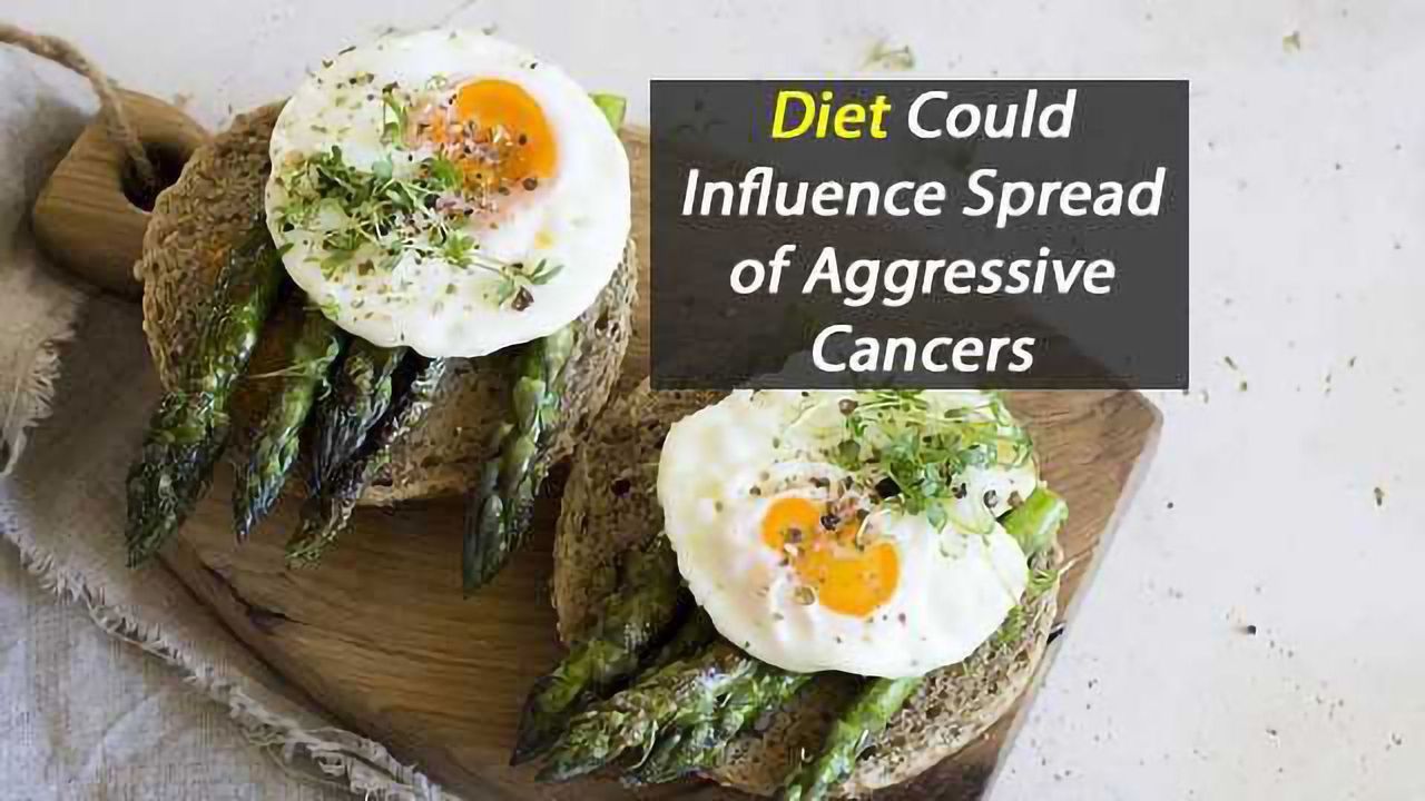 Limiting Dietary Asparagine Could Reduce Cancer Spread
