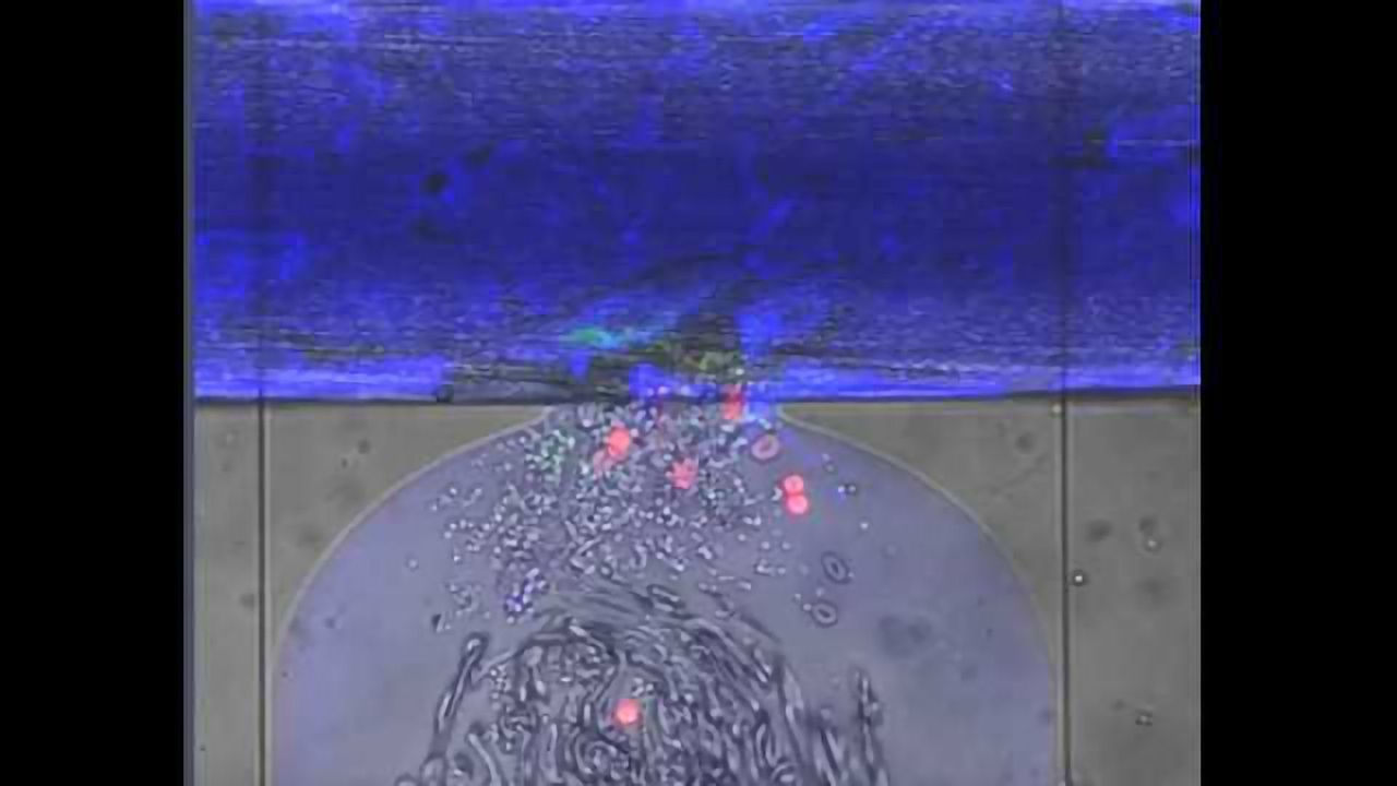 Engineers Create Miniature Self-sealing "Wound"