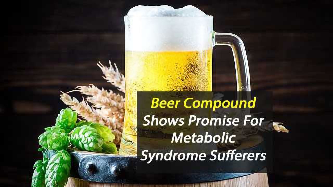 Beer Compound Could Help Metabolic Syndrome Sufferers
