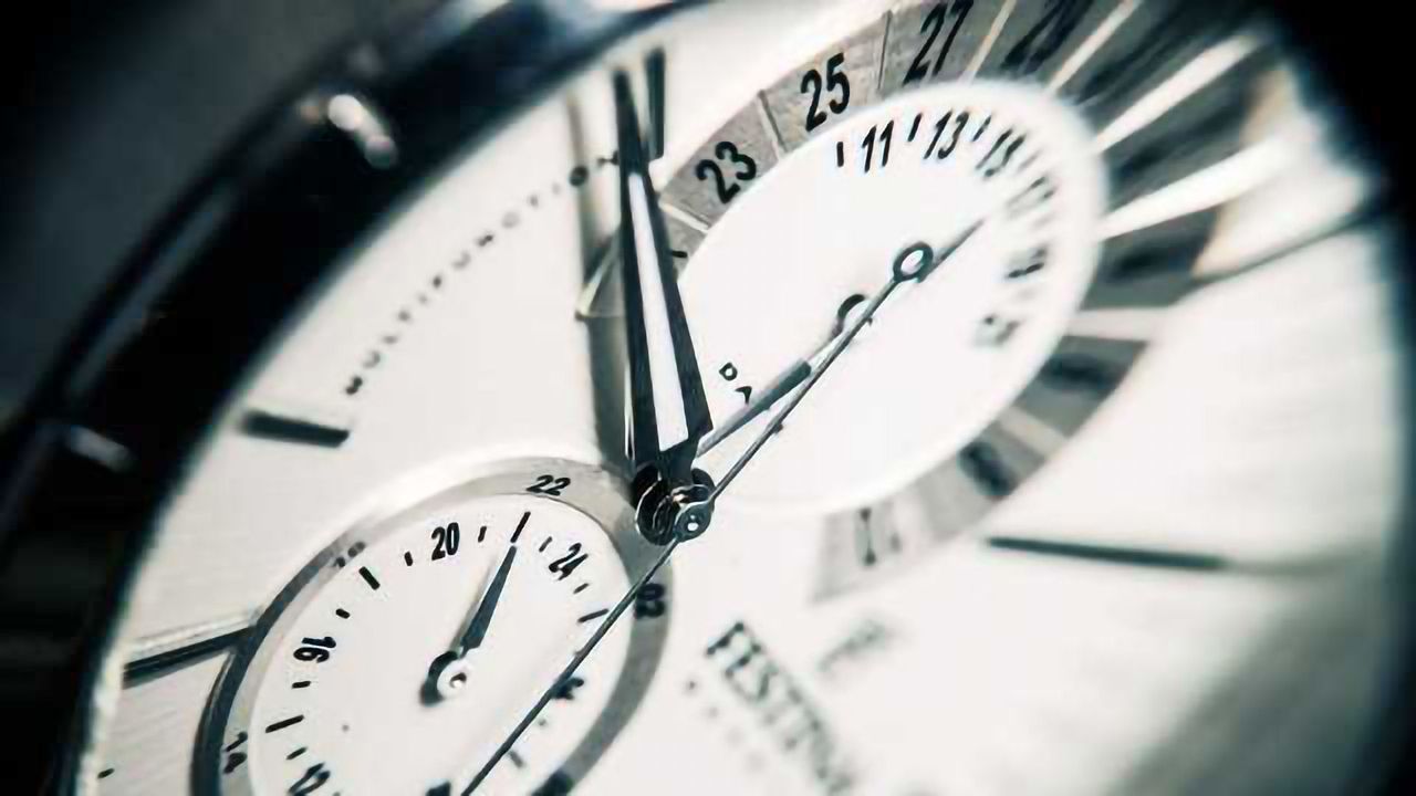 Critical Gene Activity Follows a Daily Biological Clock