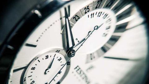 Critical Gene Activity Follows a Daily Biological Clock
