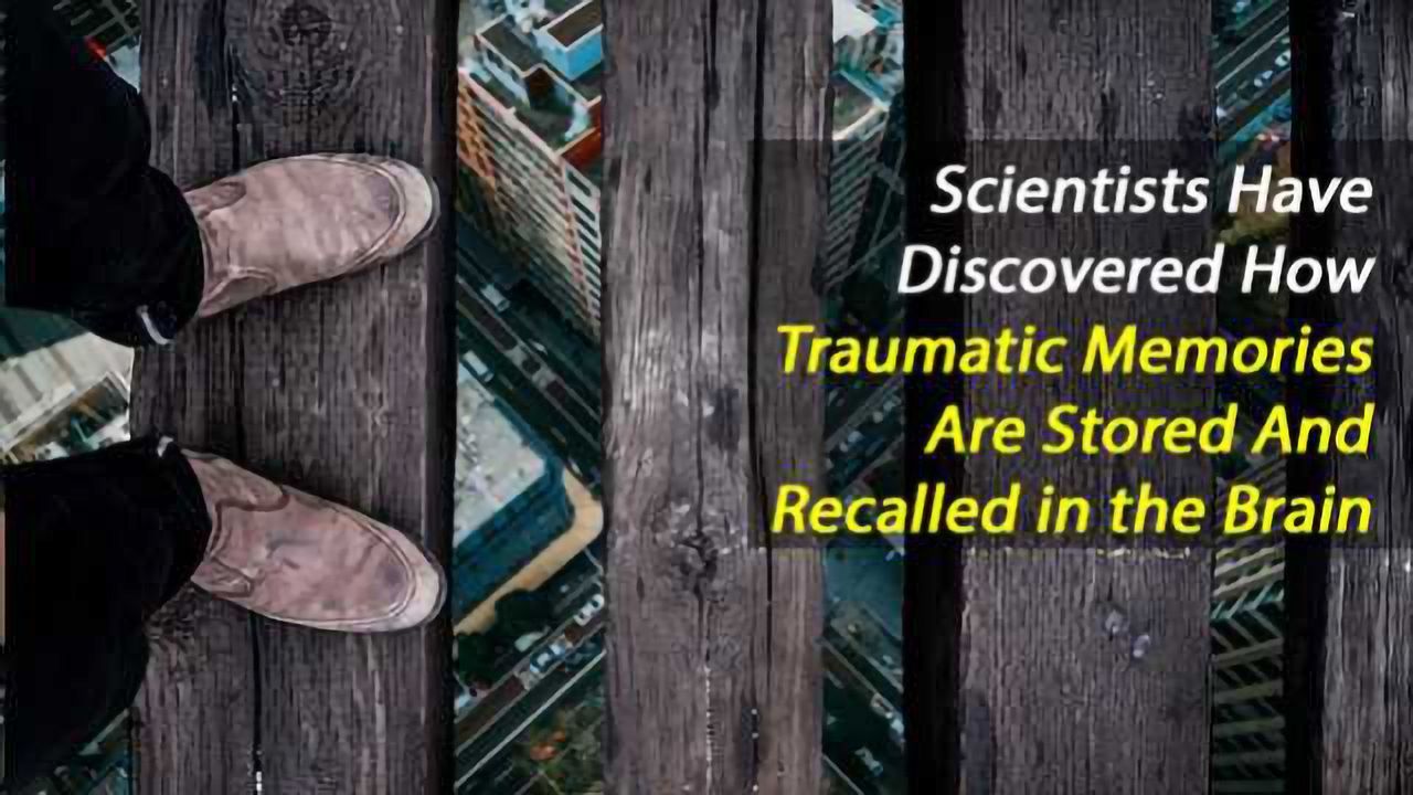 Hippocampus Drives Feed-Forward Inhibitory Fear Circuit