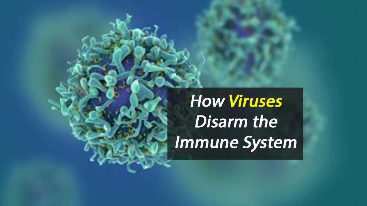 How Viruses Disarm the Immune System