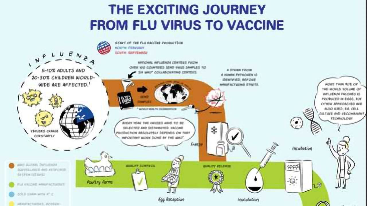 The Exciting Journey from Flu Virus to Vaccine