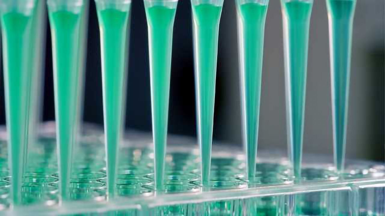 Navigating Drug Discovery With High-Throughput Screening