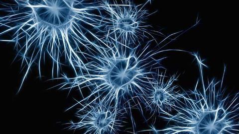 Syndesi Therapeutics Launched to Develop Novel Therapeutics for Cognitive Disorders