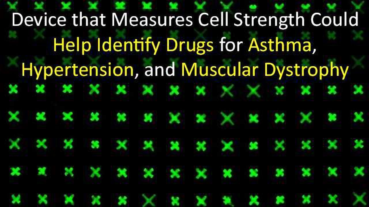 Device Speeds the Discovery of Drugs for a Wide Range of Diseases
