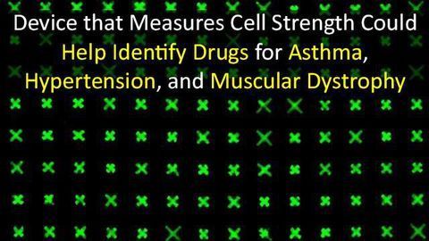 Device Speeds the Discovery of Drugs for a Wide Range of Diseases
