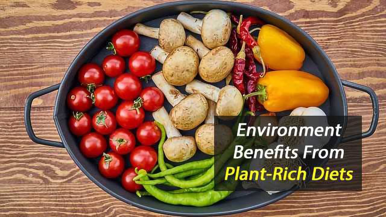 Diet High in Fruit and Vegetables Helps the Environment