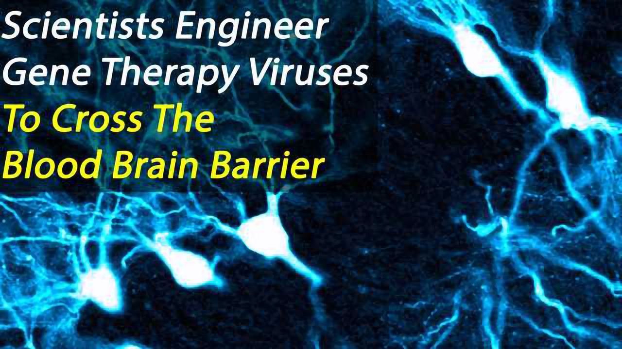 Gene Therapy Viruses Engineered to Cross the Blood Brain Barrier