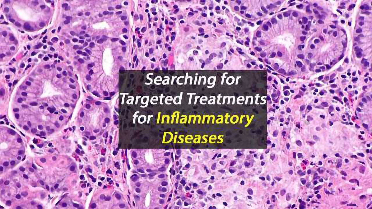 Improved Understanding of Inflammatory Response Pathways Offers Hope For Inflammatory Disease Sufferers