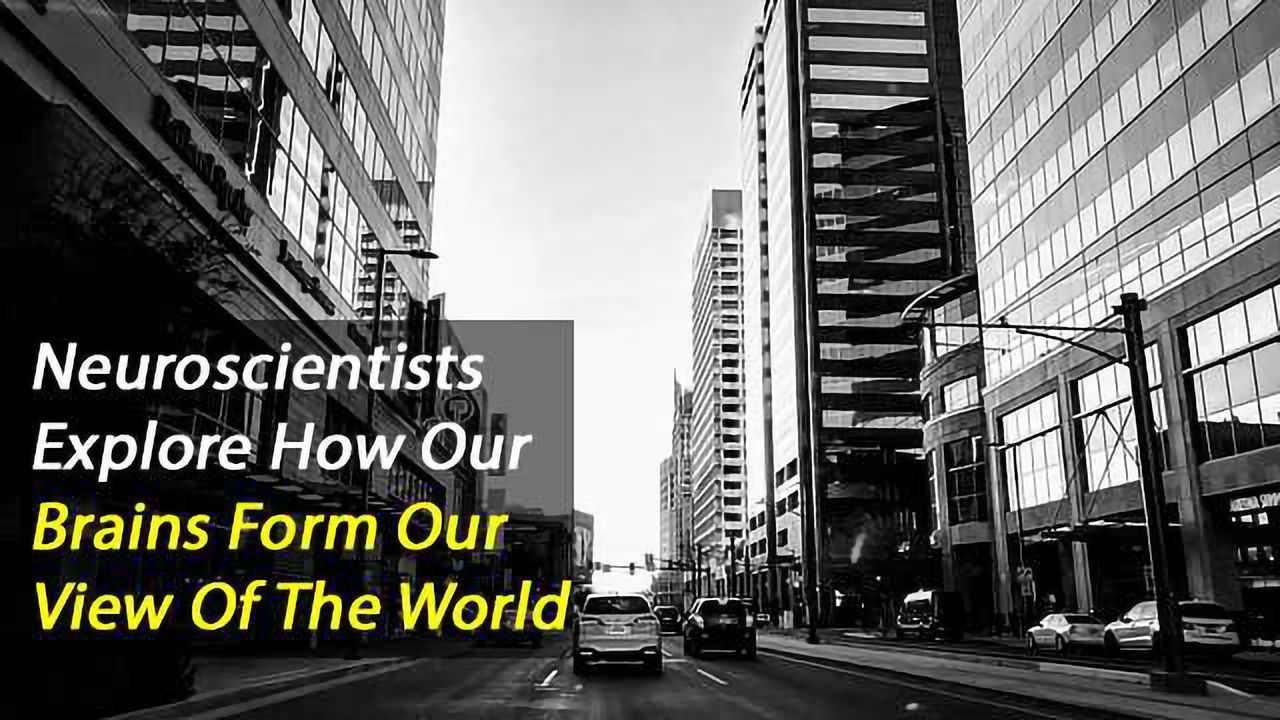 How the Brain Integrates Sensory Information to Construct its View of the World