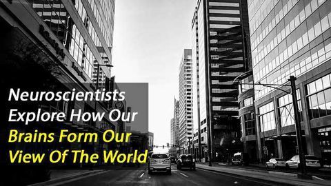 How the Brain Integrates Sensory Information to Construct its View of the World