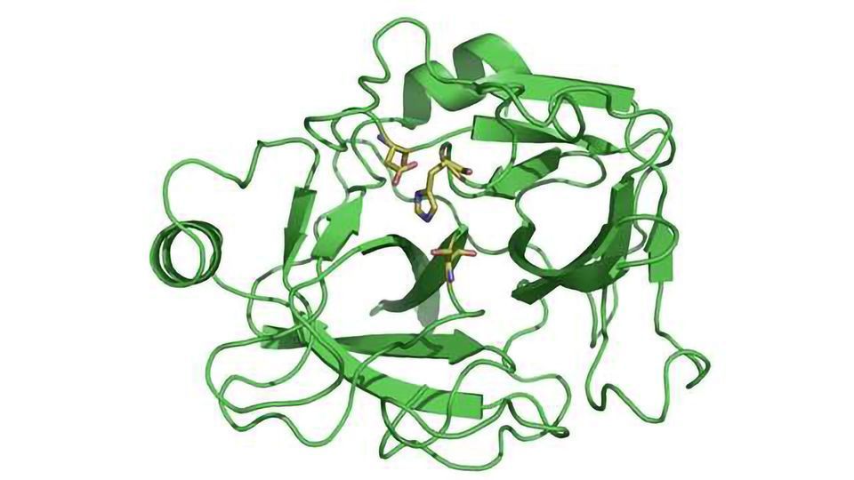 Catalyst Biosciences Announces Positive TopLine Data for Potential