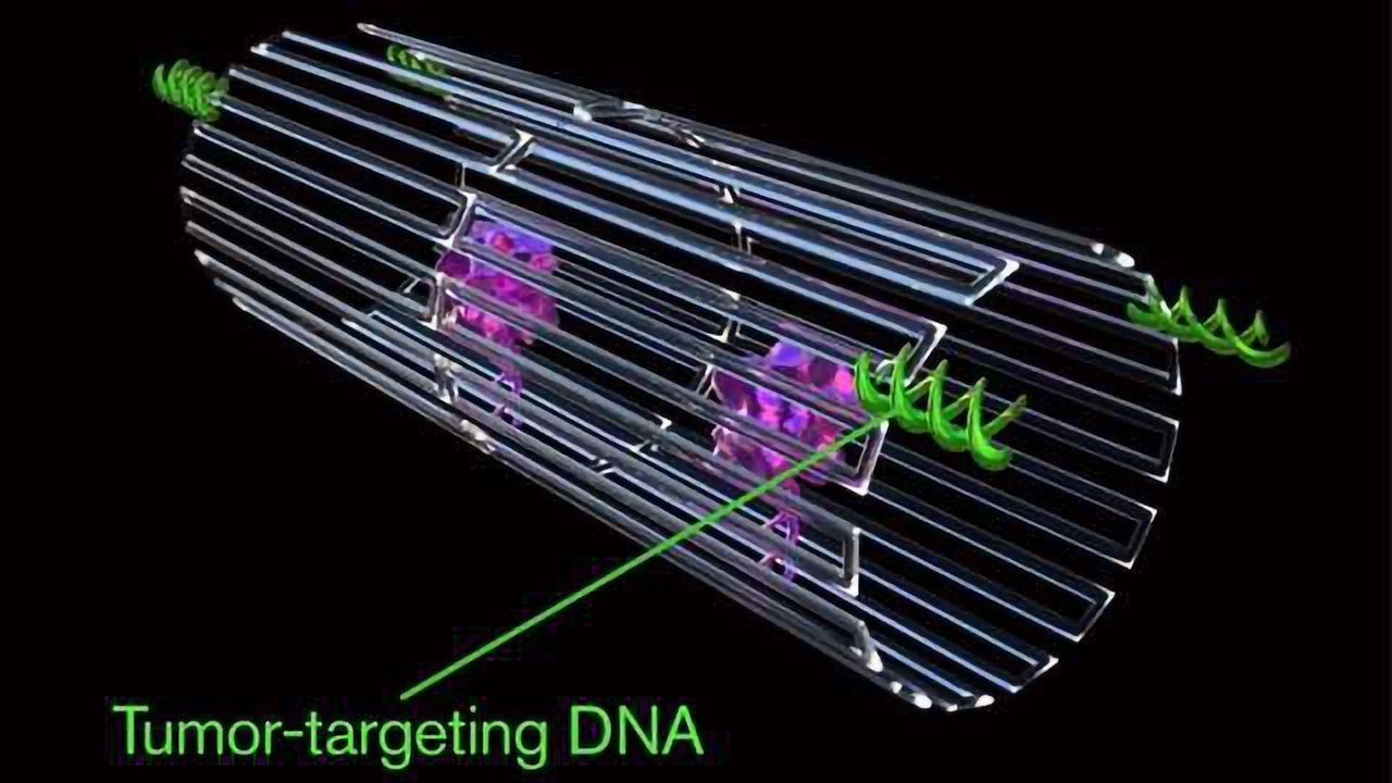 Nanorobots Seek and Destroy Tumors