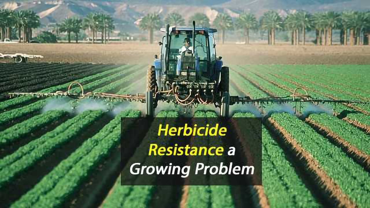 Put Aside the Herbicide